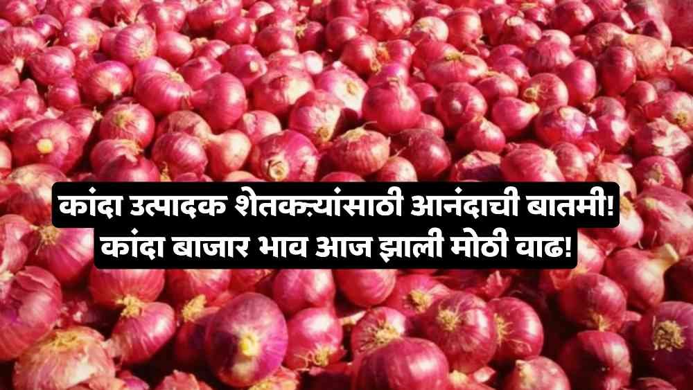 Onion market price