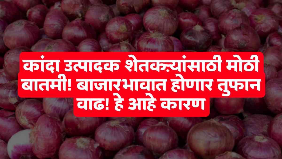 Onion farmer